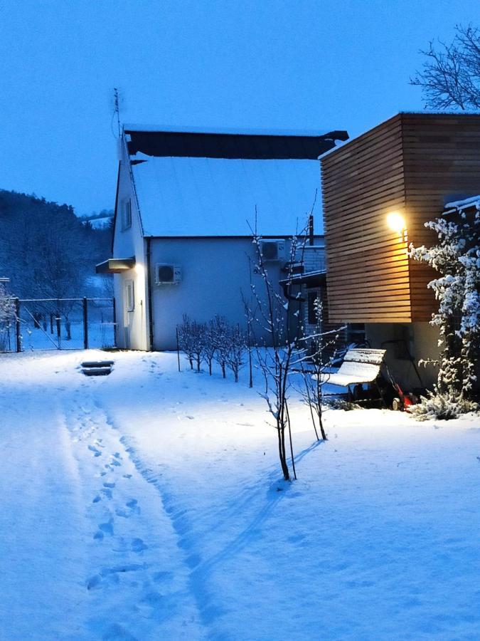 Apartman Lenka II Borsice Dış mekan fotoğraf